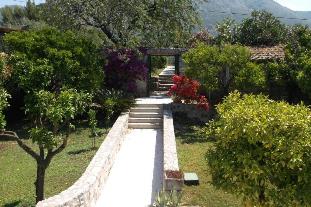 Charming Apartment For 3 Pax In Cavtat Eksteriør bilde