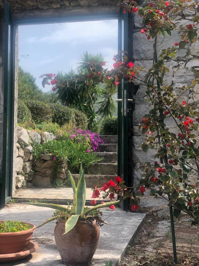 Charming Apartment For 3 Pax In Cavtat Eksteriør bilde