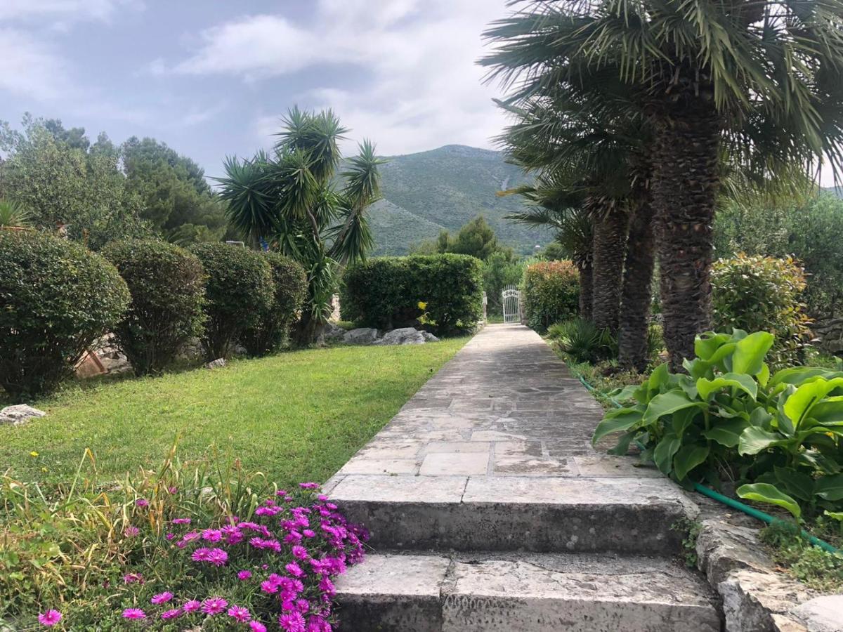 Charming Apartment For 3 Pax In Cavtat Eksteriør bilde